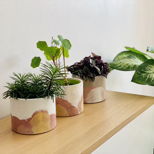 Indoor Planters