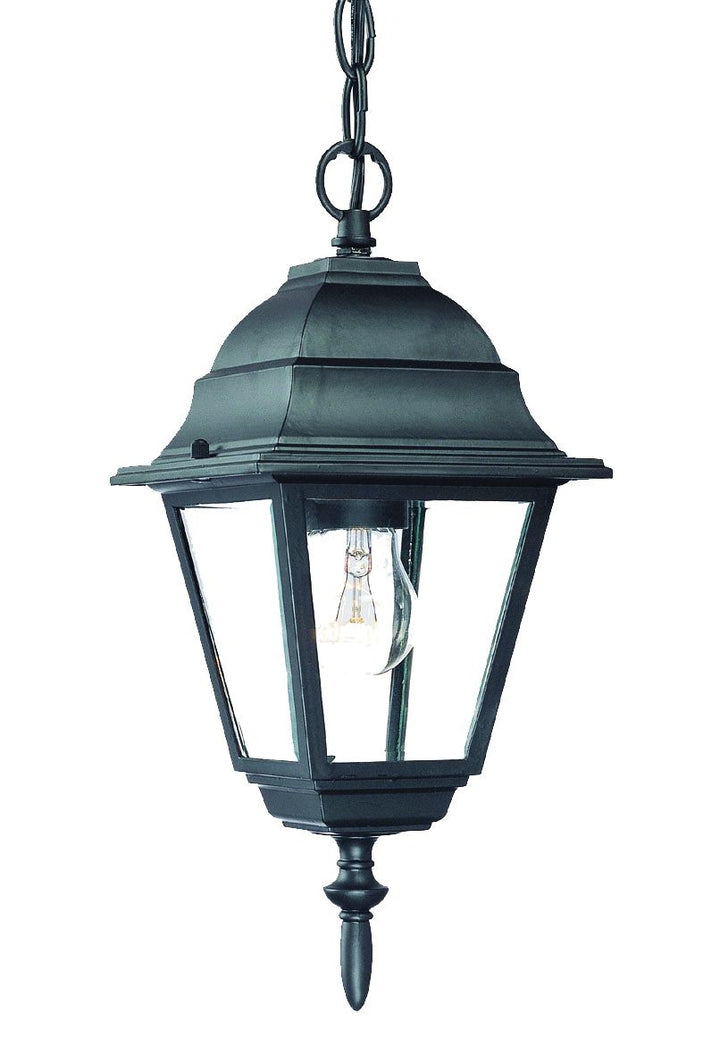 Matte Black Beveled Glass Outdoor Hanging Light