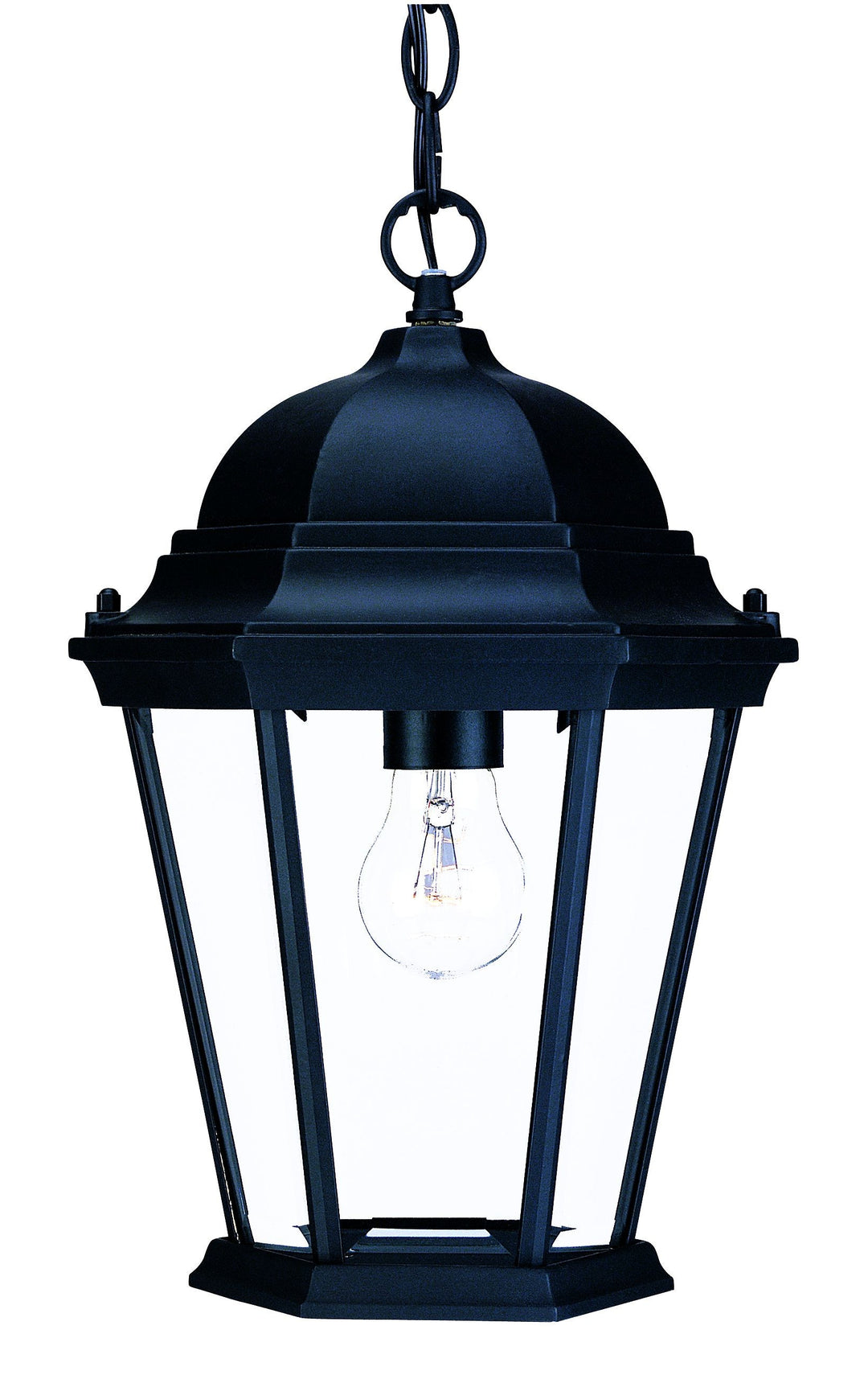 Matte Black Domed Glass Lantern Hanging Light