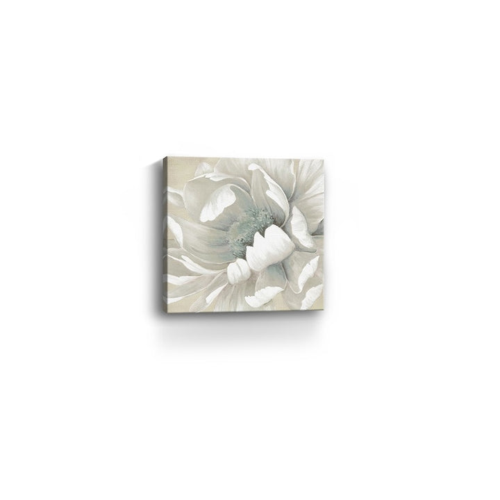 Soft Winter Flower In Bloom Unframed Print Wall Art