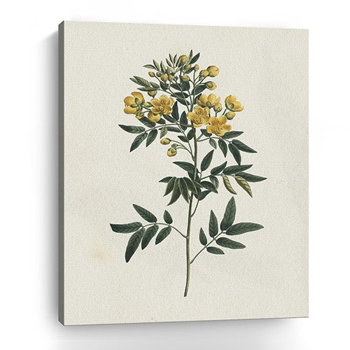 Singular Yellow Blossom Branch Unframed Print Wall Art