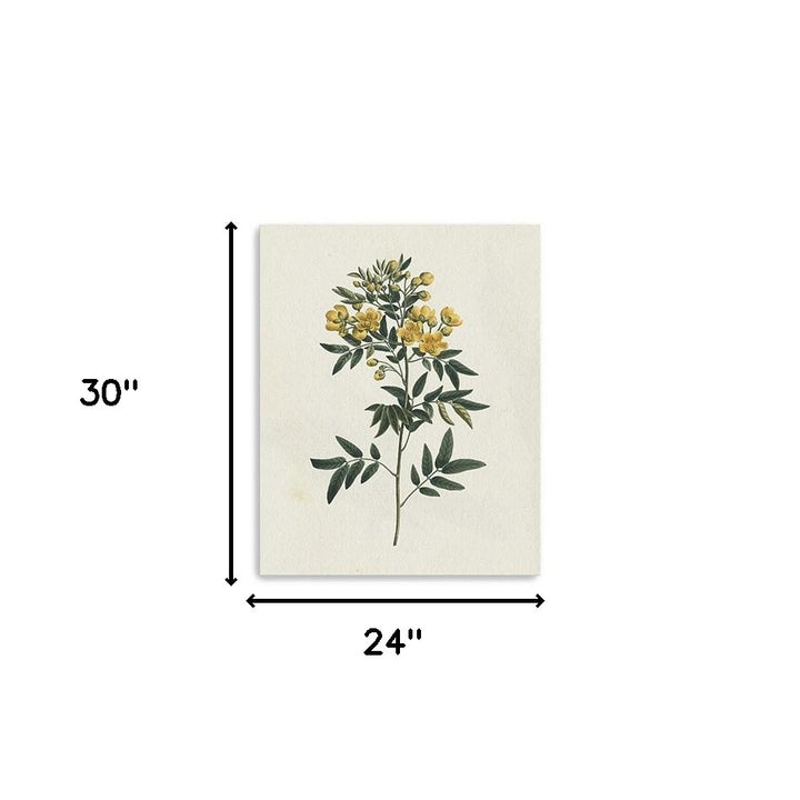 Singular Yellow Blossom Branch Unframed Print Wall Art