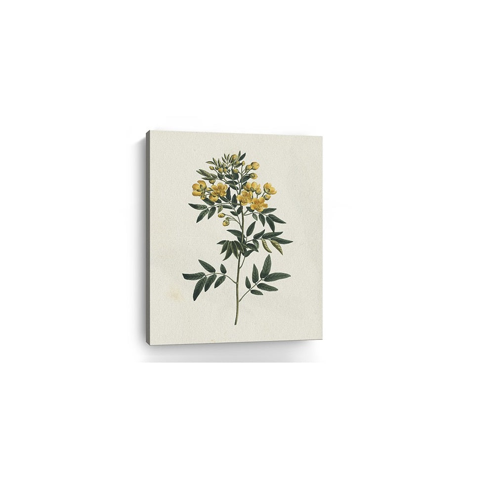 Singular Yellow Blossom Branch Unframed Print Wall Art