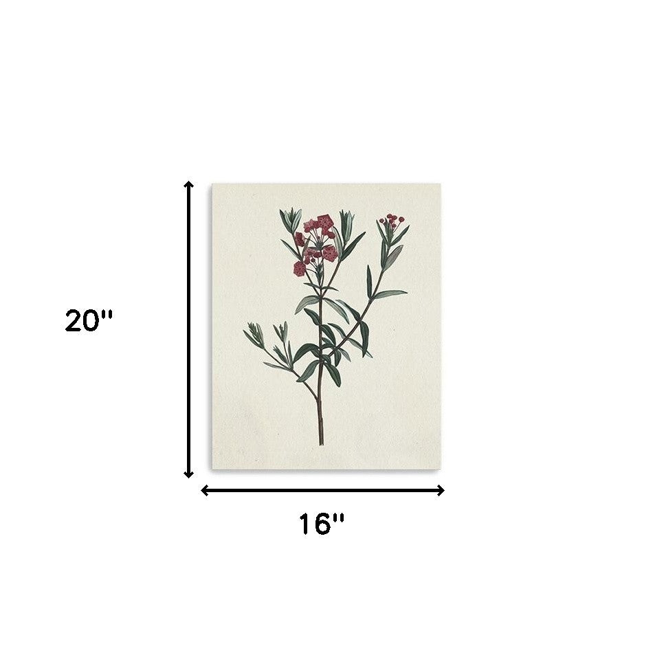 Singular Red Blossom Branch Unframed Print Wall Art