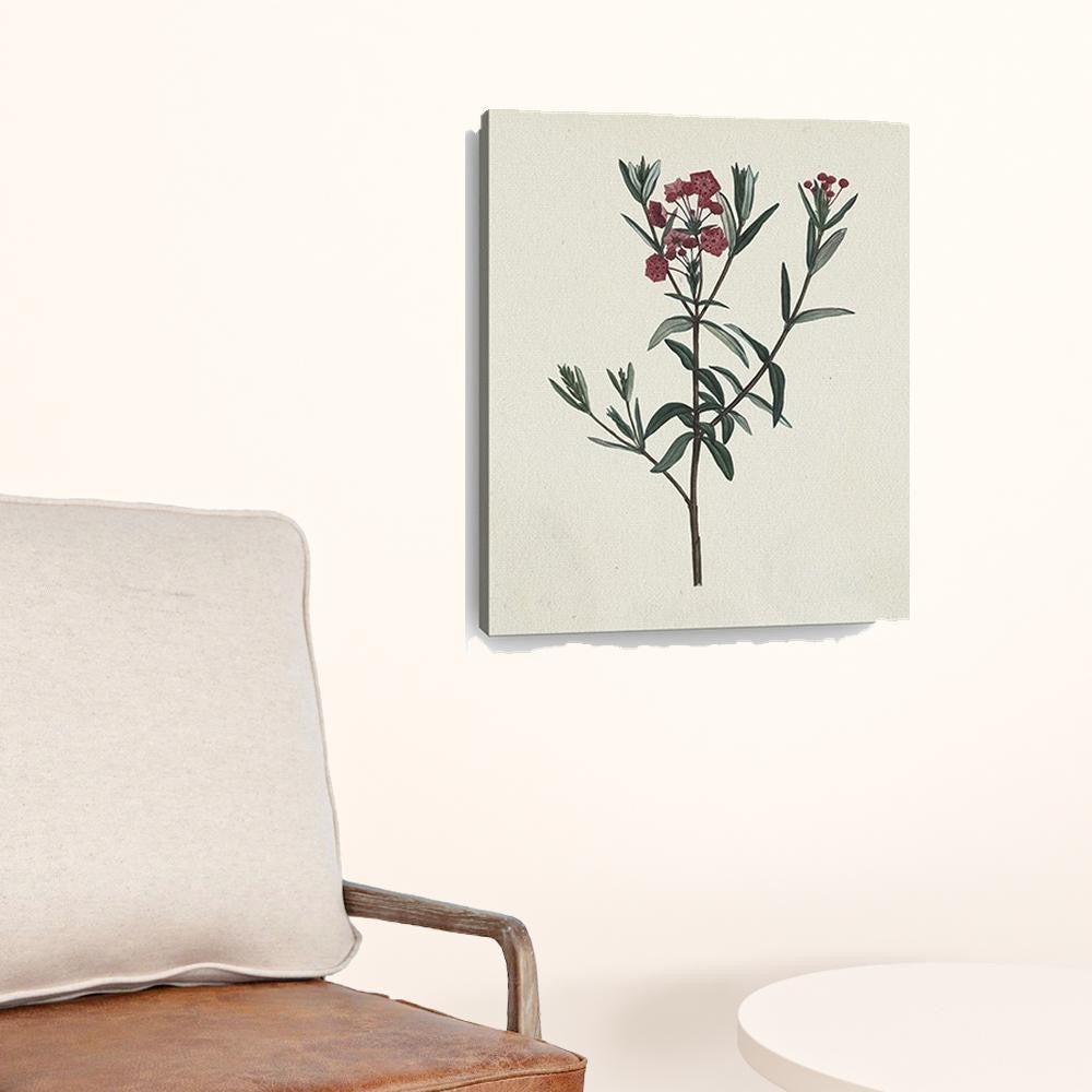 Singular Red Blossom Branch Unframed Print Wall Art