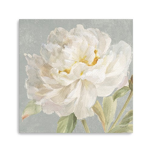 Angelic White Peony Flower Unframed Print Wall Art