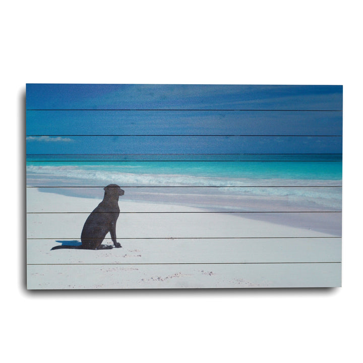 36" Energetic Dog at the Beach Unframed Photograph Wall Art