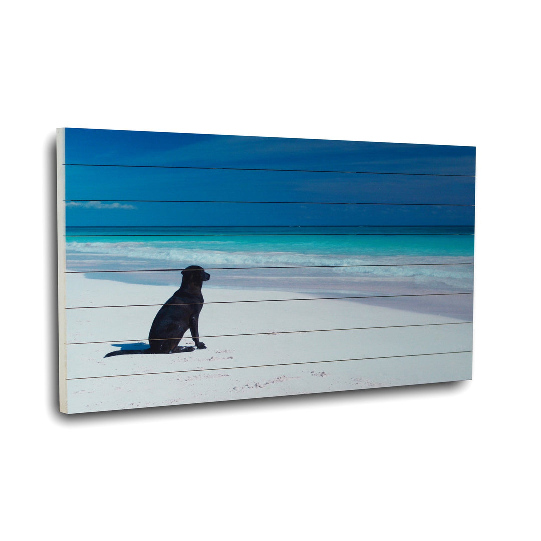 36" Energetic Dog at the Beach Unframed Photograph Wall Art