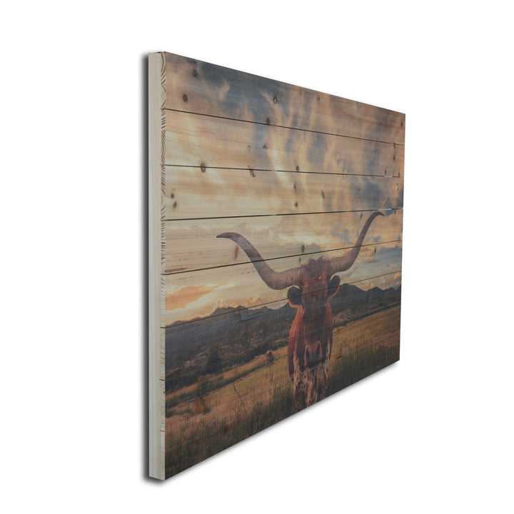 Unframed Photograph Wall Art