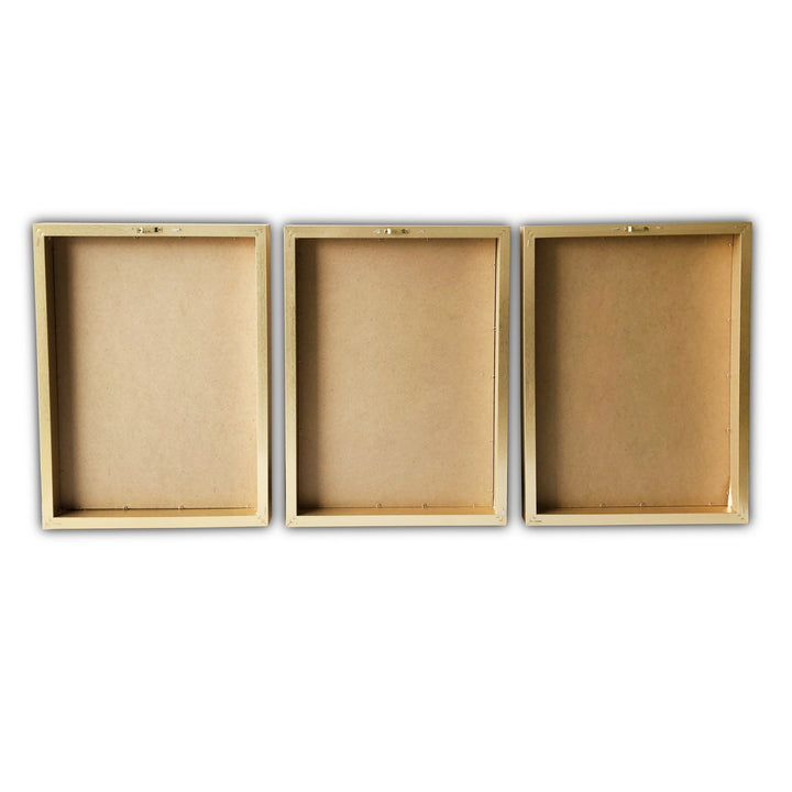 Set Of Three Three Neutral Brown Feathers Framed Wall Art Set Picture Frame Graphic Art Wall Art