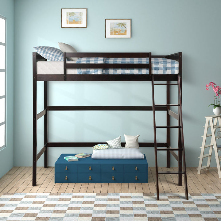 Brown Twin Size Hight Loft Bed