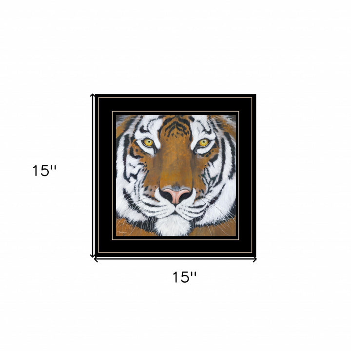 Tiger Gaze 2 Black Framed Print Wall Art