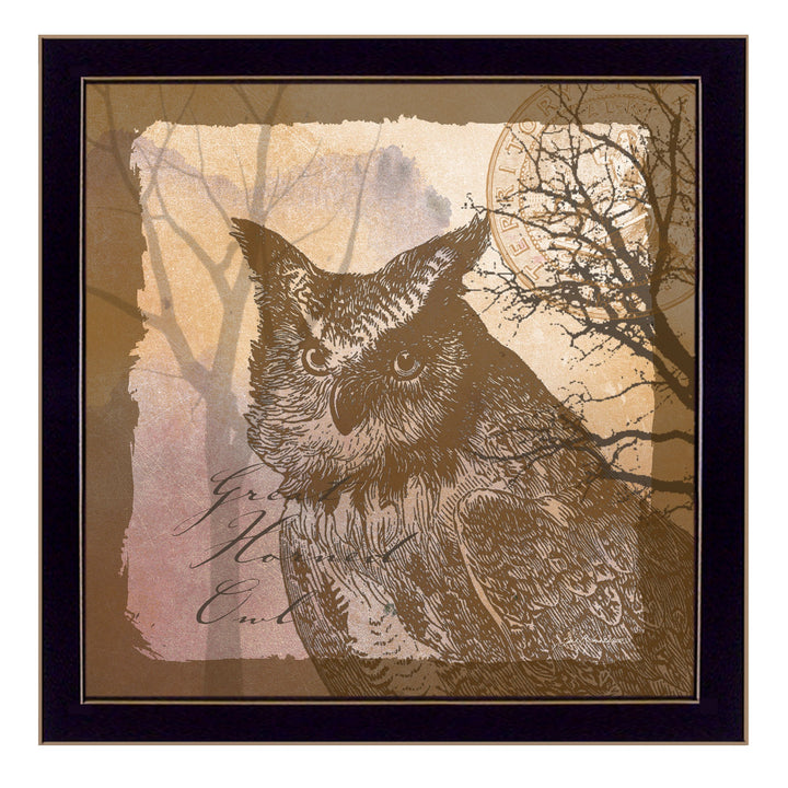 Owl 2 Black Framed Print Wall Art