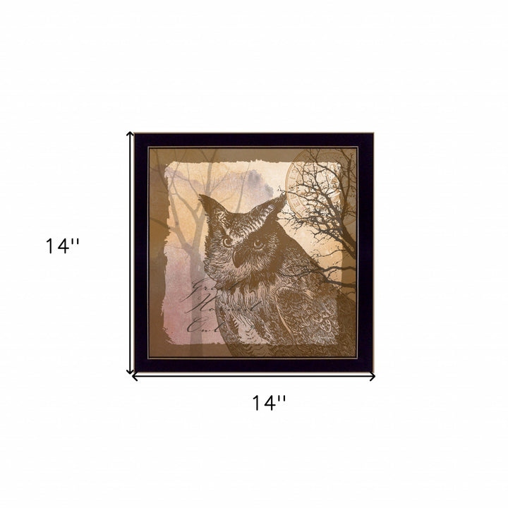 Owl 2 Black Framed Print Wall Art