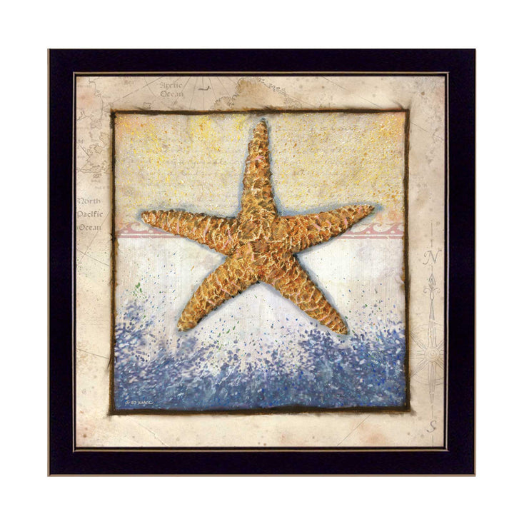 Starfish Black Framed Print Wall Art