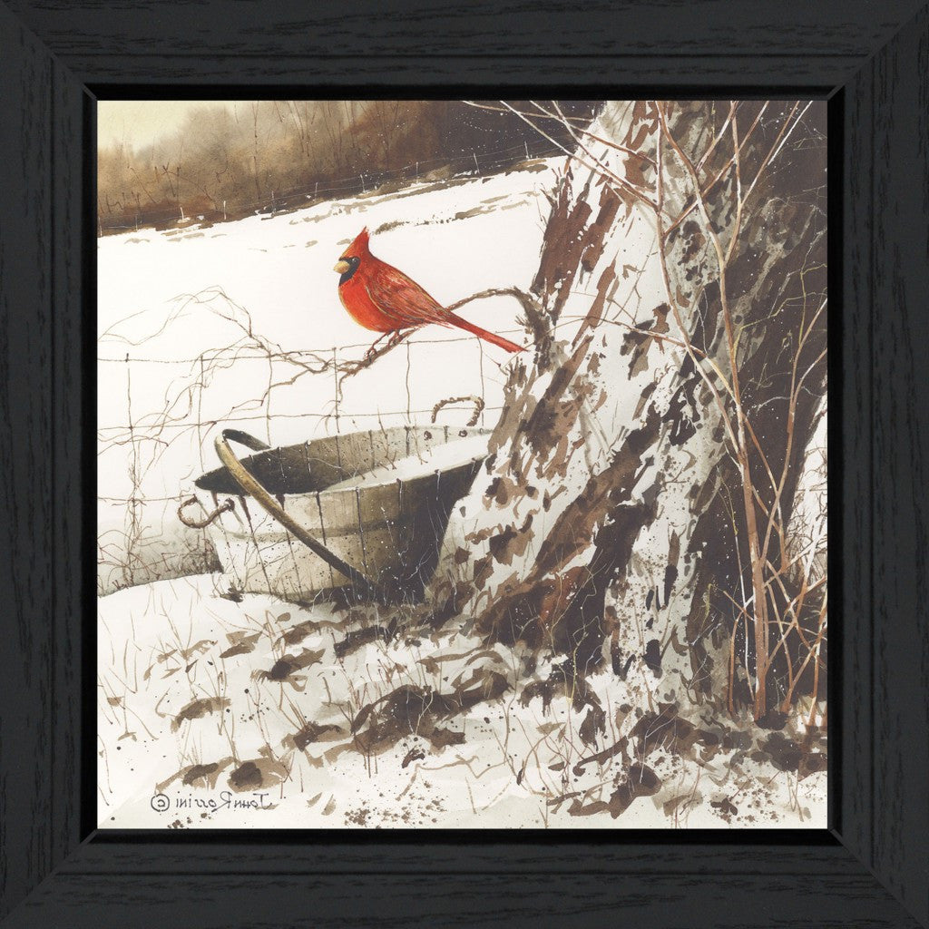 Country Cardinal Black Framed Print Wall Art