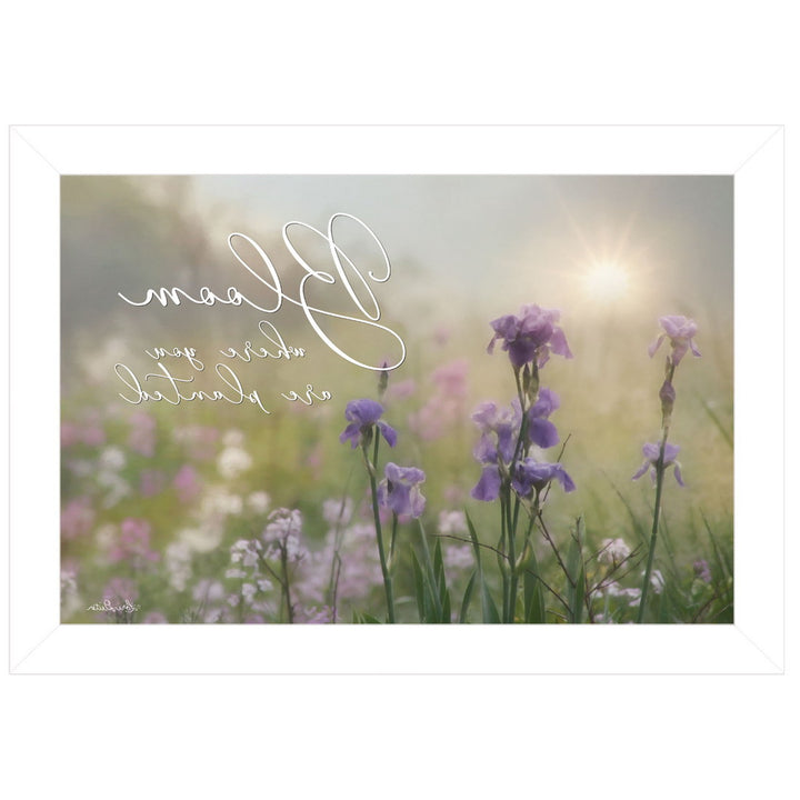 Bloom Where You are Planted White Framed Print Wall Art