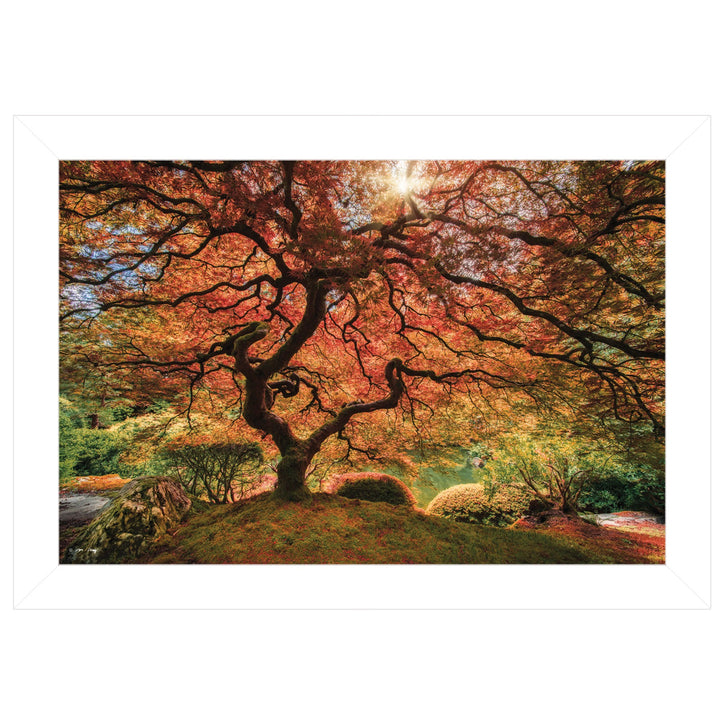 First Colors of Fall I 1 White Framed Print Wall Art