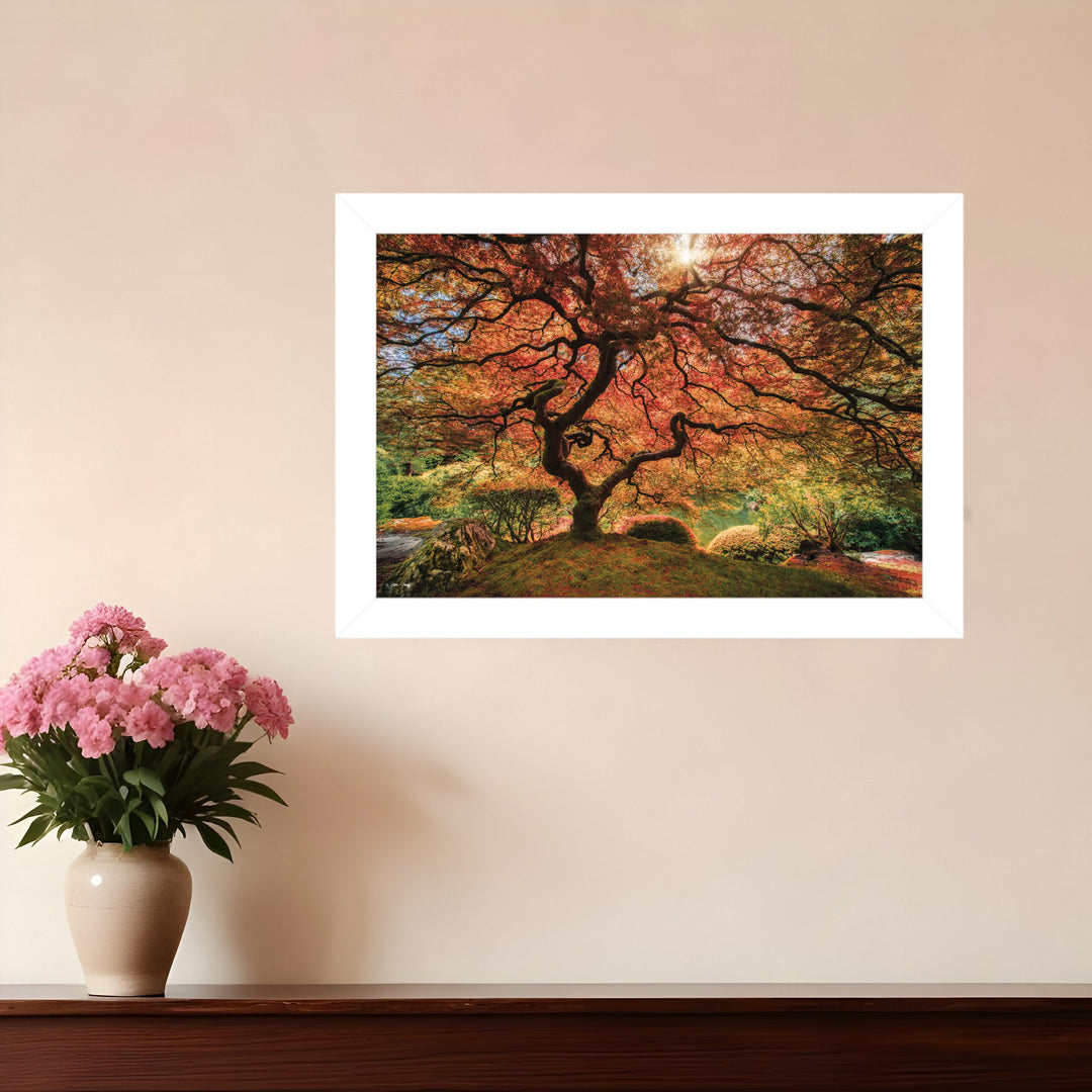 First Colors of Fall I 1 White Framed Print Wall Art