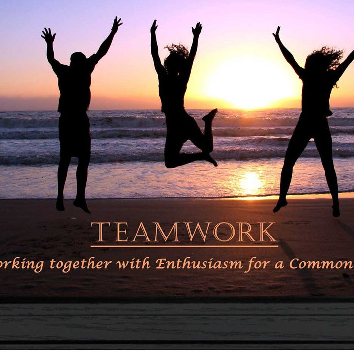 Teamwork 3 Black Framed Print Wall Art