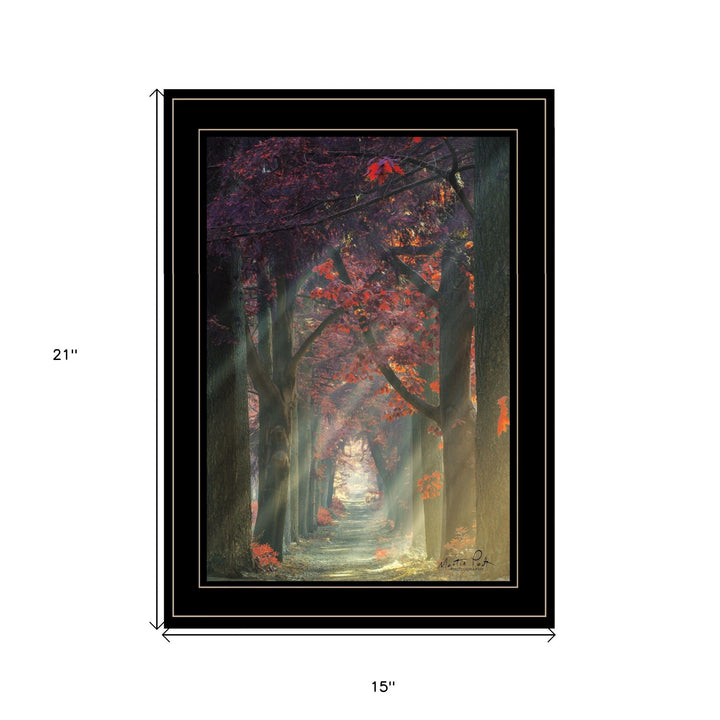 Path of Happiness 2 Black Framed Print Wall Art