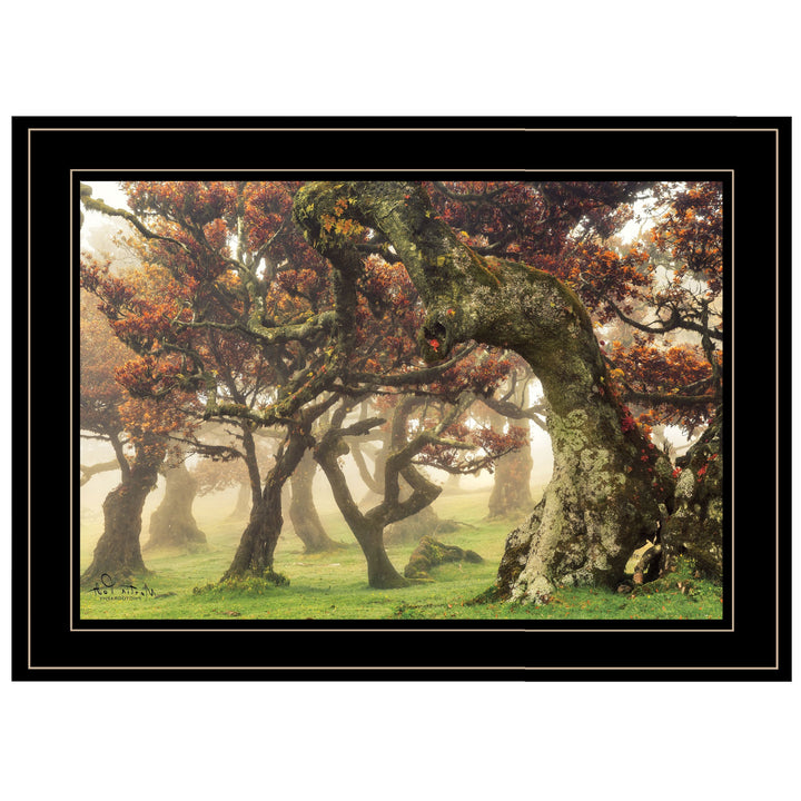 Fanal Martin Podt Ready to Hang Framed Print Black Frame Black Framed Print Wall Art