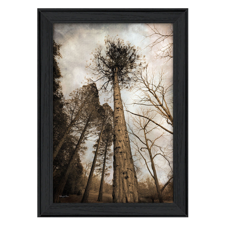 Skys the Limit Black Framed Print Wall Art