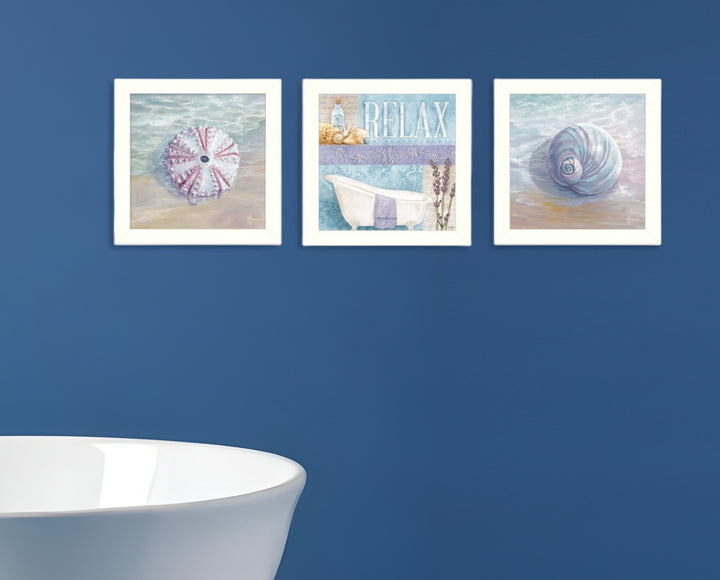 Set Of Three Shells I White Framed Print Bathroom Wall Art