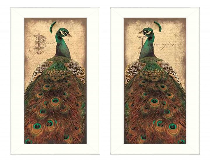 Set Of Two Peacock 1 White Framed Print Wall Art