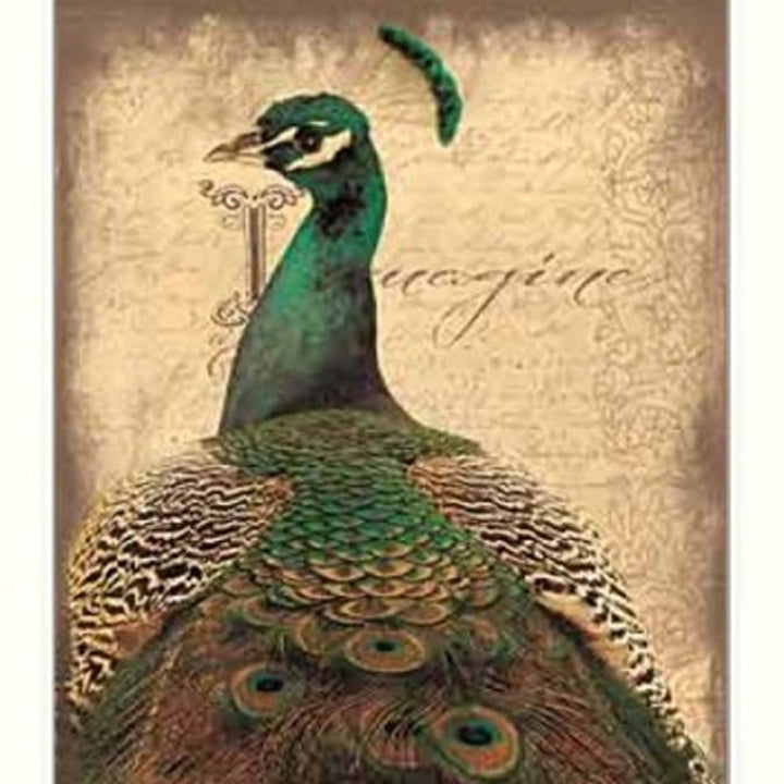 Set Of Two Peacock 1 White Framed Print Wall Art