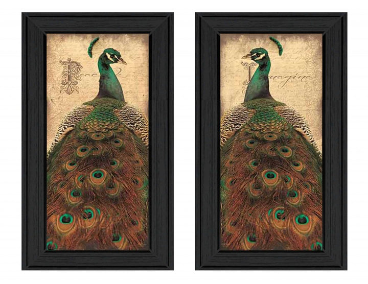 Set Of Two Peacock 2 Black Framed Print Wall Art