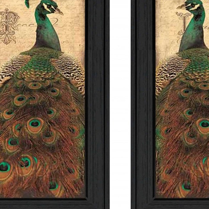 Set Of Two Peacock 2 Black Framed Print Wall Art