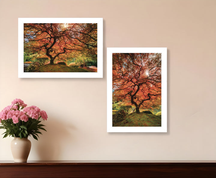 Set Of Two First Colors of Fall I White Framed Print Wall Art