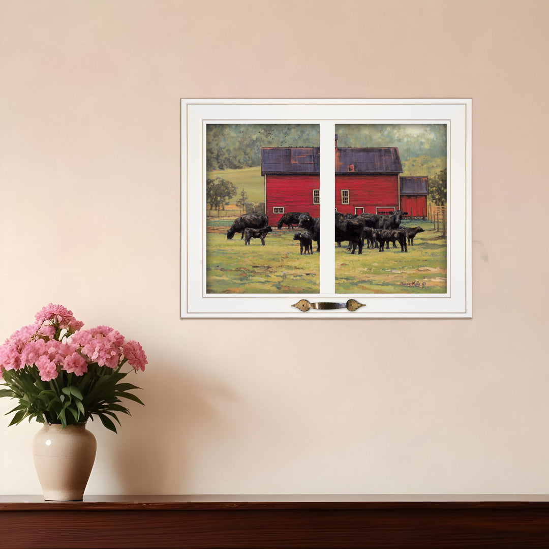 By the Red Barn Herd of Angus 1 White Framed Print Wall Art