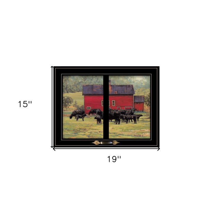 By the Red Barn Herd of Angus 2 Black Framed Print Wall Art