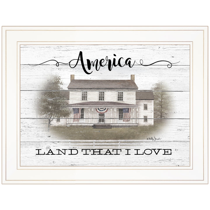 America 1 White Framed Print Wall Art