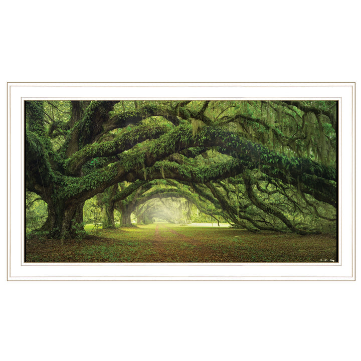 Passage 2 White Framed Print Wall Art