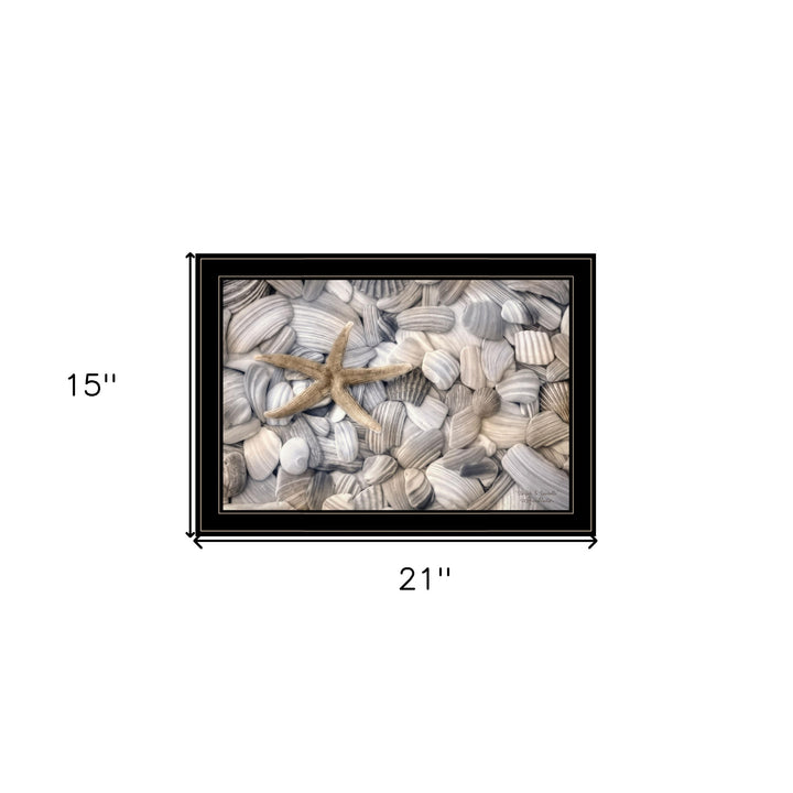 Starfish and Seashells 4 Black Framed Print Wall Art