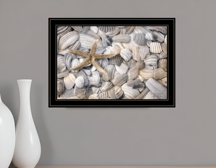 Starfish and Seashells 4 Black Framed Print Wall Art