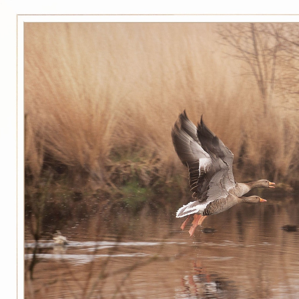 Fly Away 4 White Framed Print Wall Art