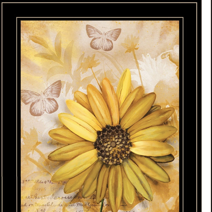 Set Of Two Flowers and Butterflies 2 Black Framed Print Wall Art