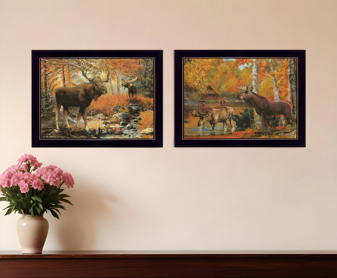 Set Of Two Call of the Wild 2 Black Framed Print Wall Art