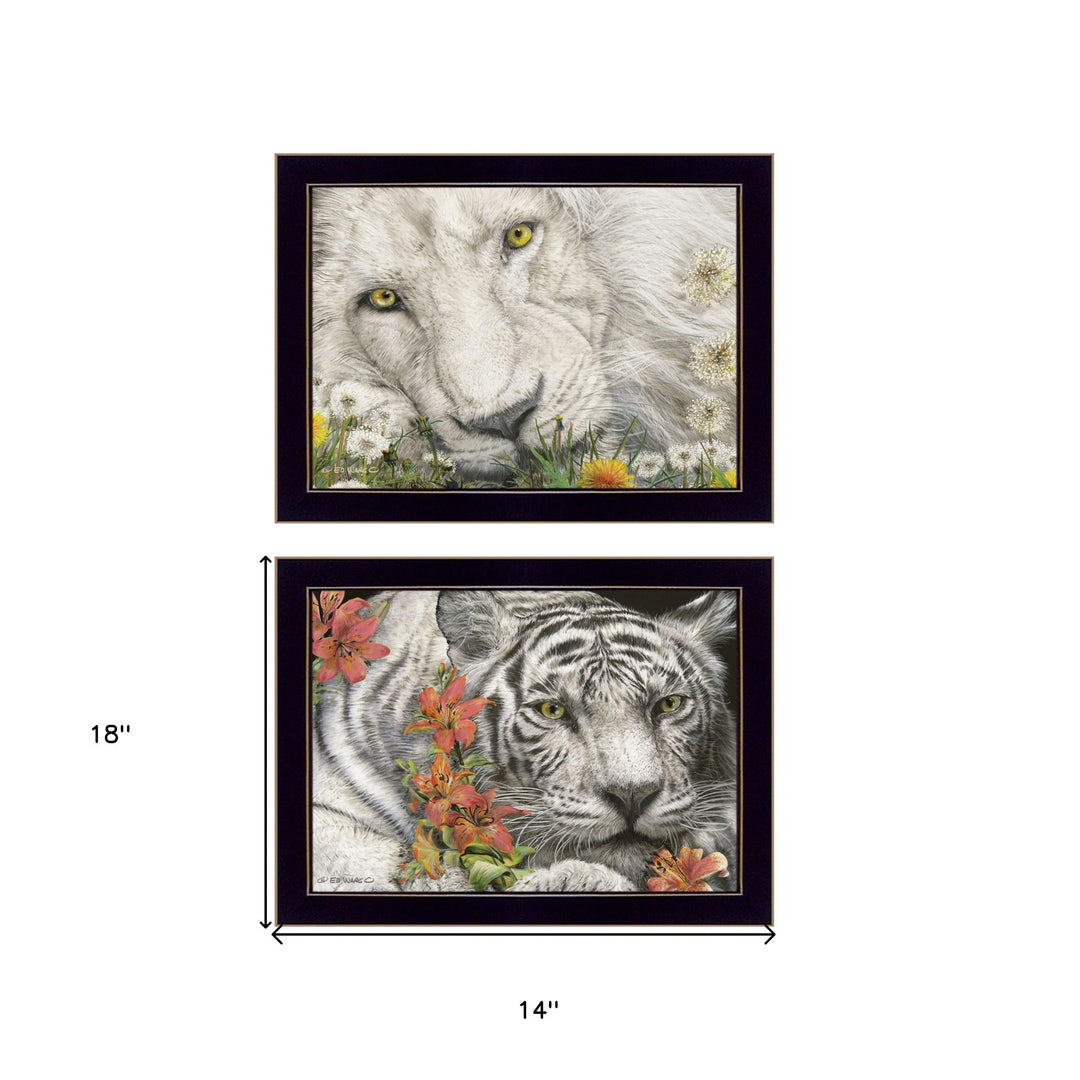 Set Of Two Tiger Lily Dandy Lion 3 Black Framed Print Wall Art