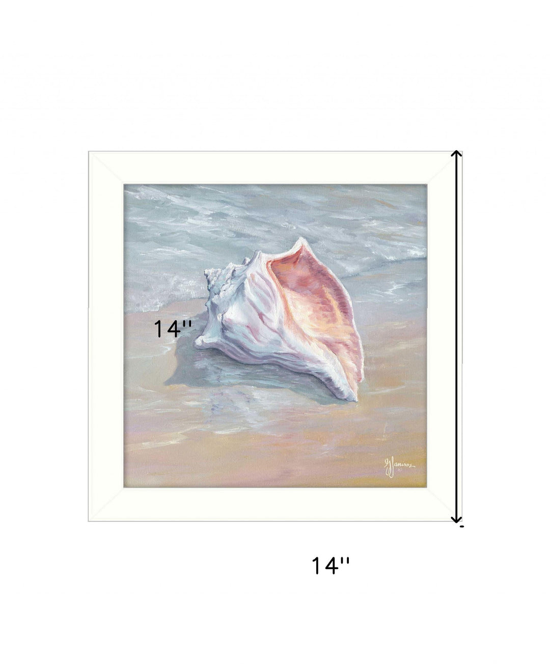 Whelk White Framed Print Wall Art