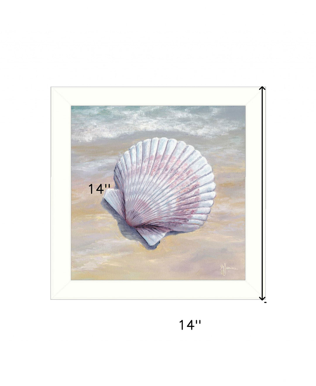 Scallop White Framed Print Wall Art