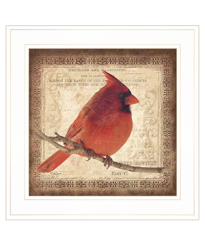 Male Cardinal 1 White Framed Print Wall Art