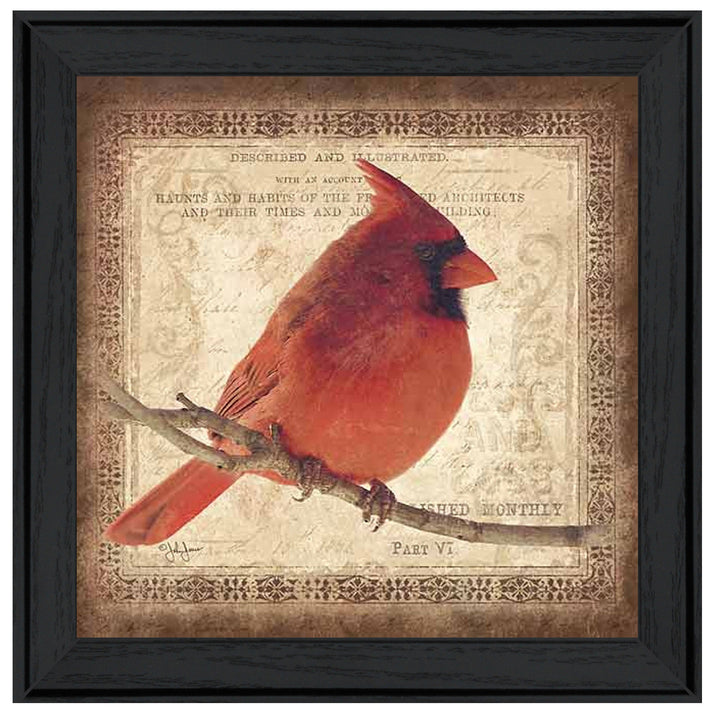 Male Cardinal 2 Black Framed Print Wall Art