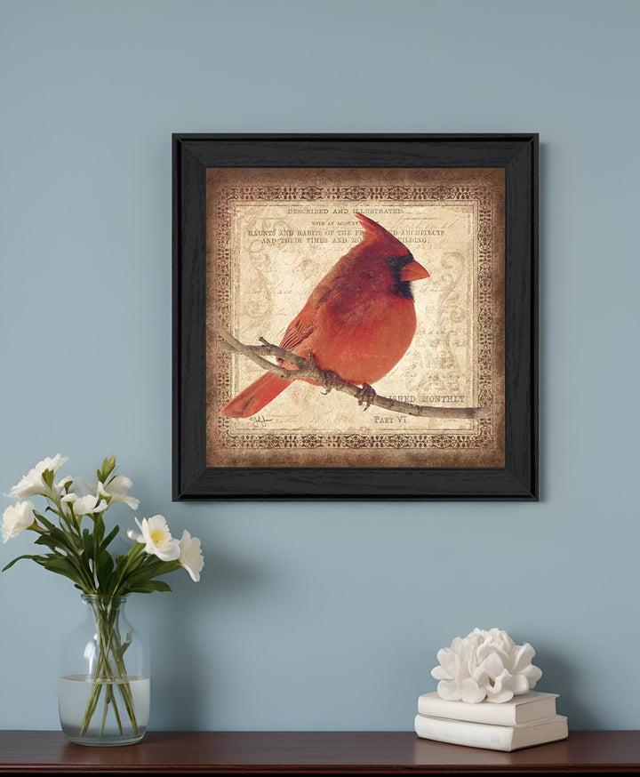 Male Cardinal 2 Black Framed Print Wall Art