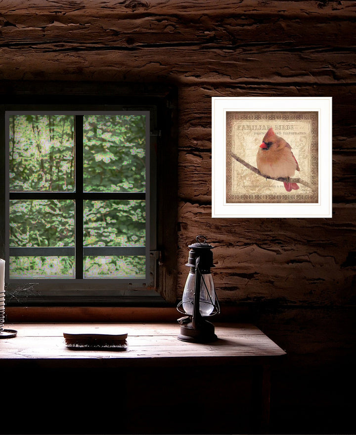 Female Cardinal 1 White Framed Print Wall Art