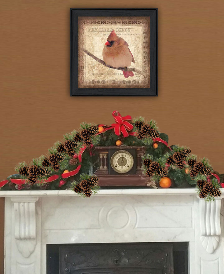 Female Cardinal 2 Black Framed Print Wall Art